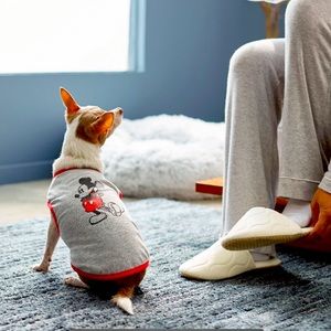 Disney Mickey Mouse Classic Dog &
Cat T-shirt, Gray